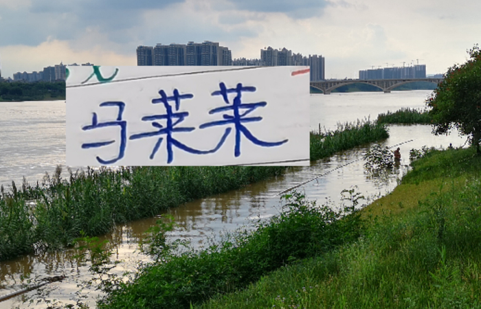 开云-如何防隔壁豪华版的马莱莱 是海港穆帅新赛季要应对的一个课题|上海海港|上海申花|超级杯|鲁迪·盖伊|何塞·穆里尼奥_新浪体育_新浪新闻