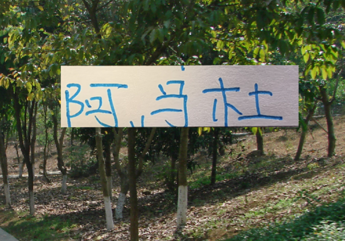 kaiyun.com-亚冠别受伤才是王道！ 想想去年申花兽腰阿马杜 太可惜了